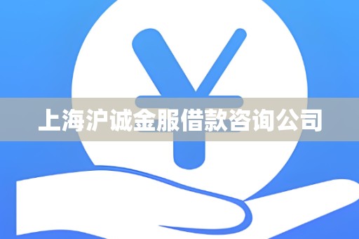上海沪诚金服借款咨询公司