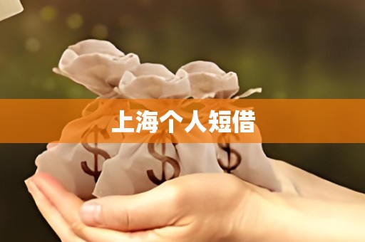 上海个人短借