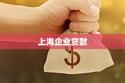 上海企业贷款